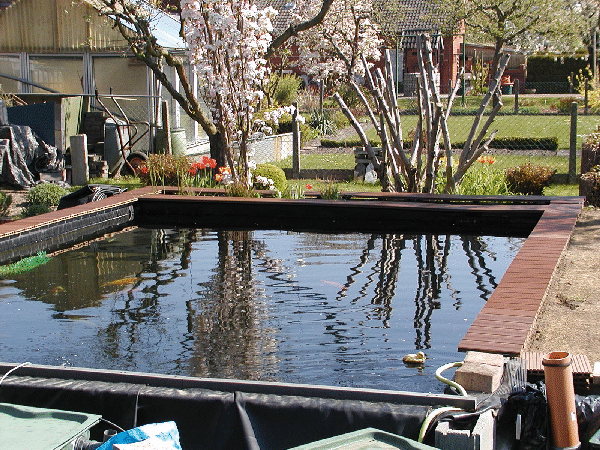 Teichumbau 20100424 (6)